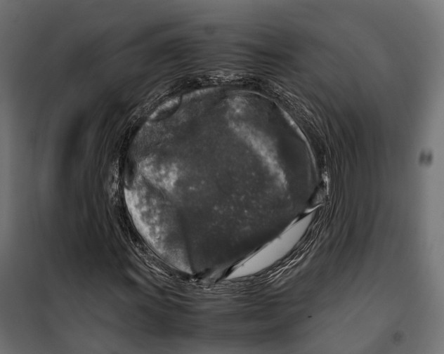 X0000099991011200806201444