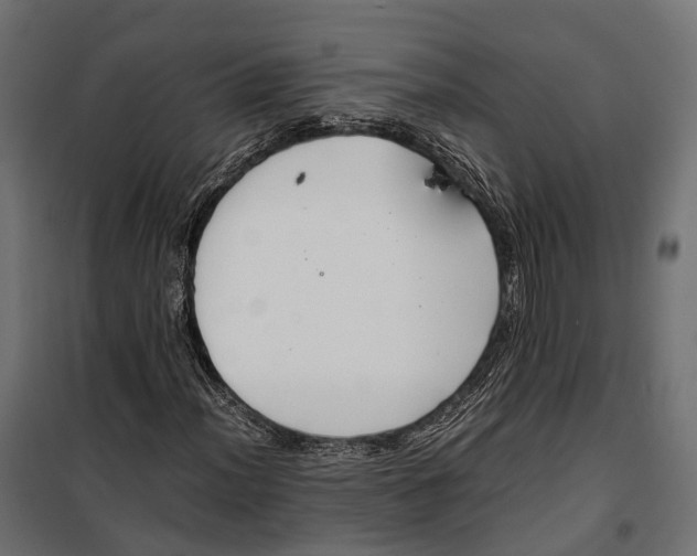 X0000099991012200806201444