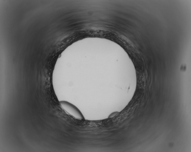 X0000099991013200806201444