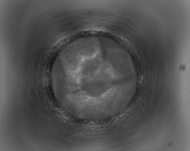 X0000099991014200806201444