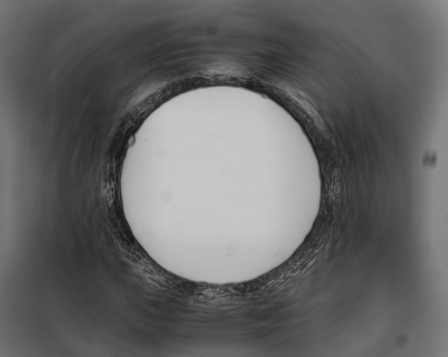 X0000099991015200806201444