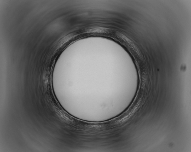 X0000099991017200806201444