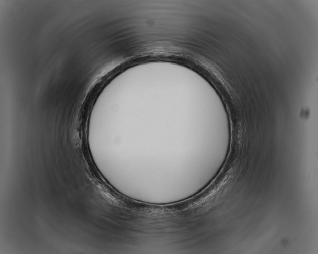 X0000099991018200806201444