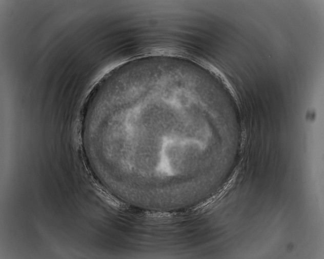 X0000099991019200806201444