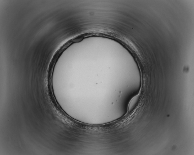 X0000099991020200806201444