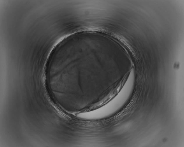 X0000099991024200806201444