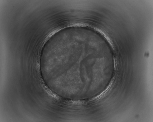 X0000099991025200806201444