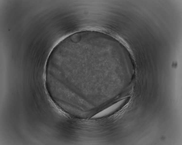 X0000099991028200806201444