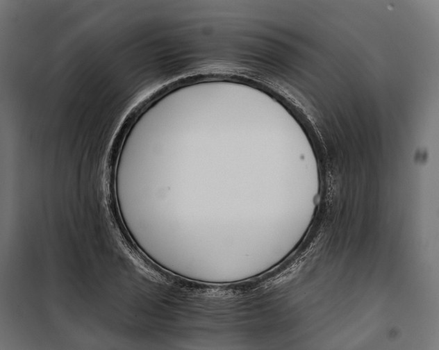 X0000099991029200806201444