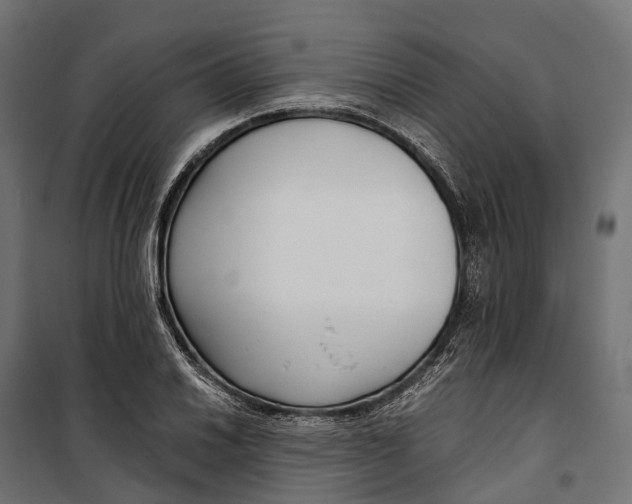 X0000099991030200806201444