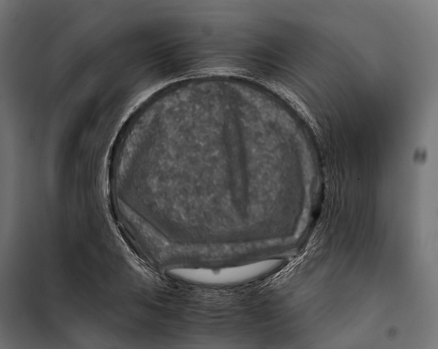 X0000099991031200806201444