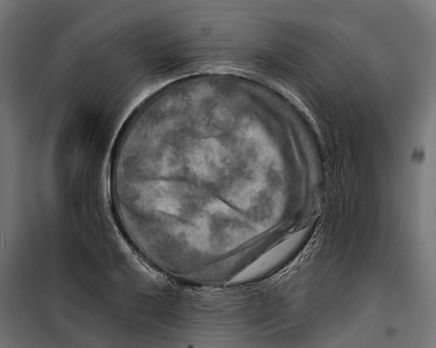 X0000099991032200806201444