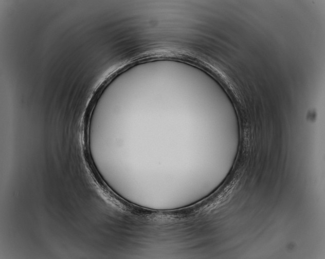 X0000099991034200806201444