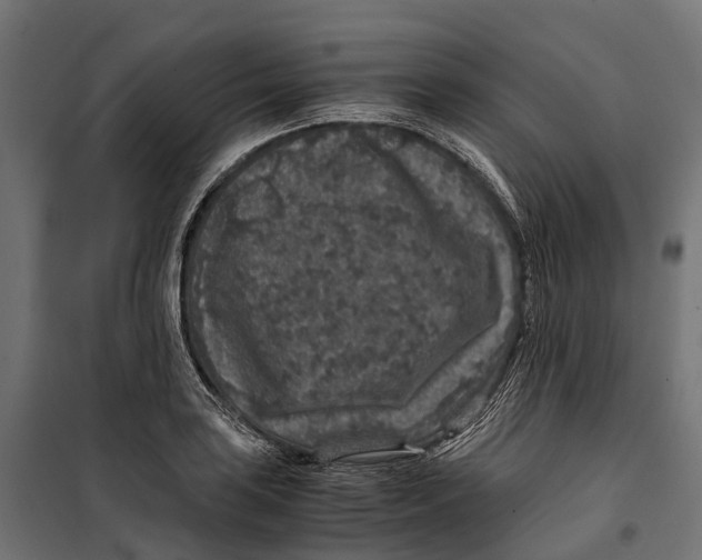 X0000099991035200806201444