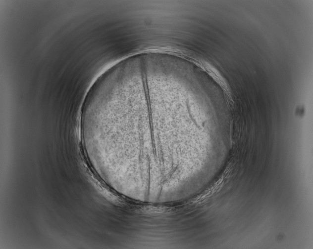 X0000099991036200806201444