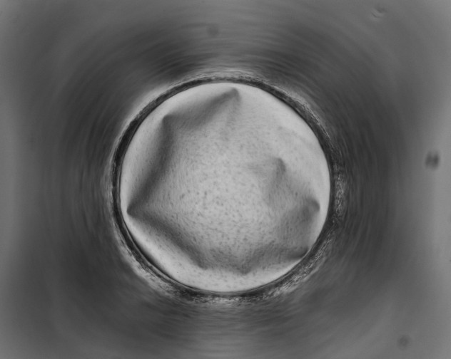 X0000099991038200806201444