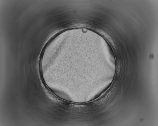 X0000099991039200806201444