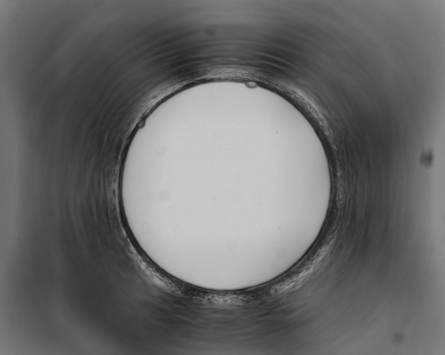 X0000099991041200806201444