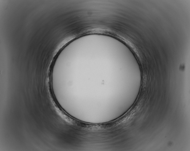 X0000099991042200806201444