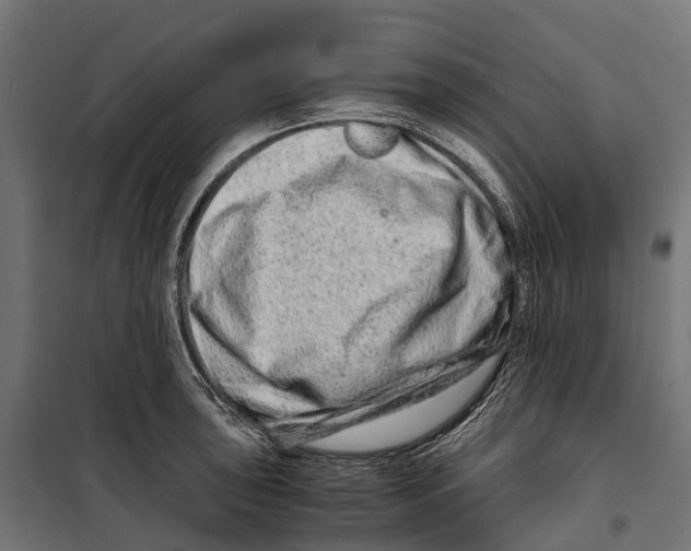 X0000099991043200806201444