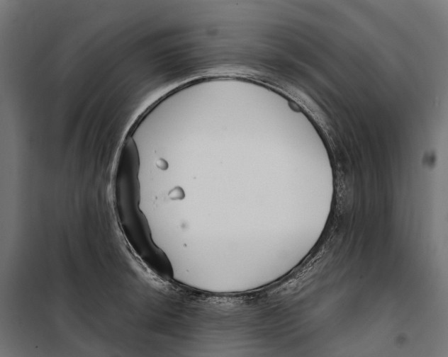 X0000099991044200806201444