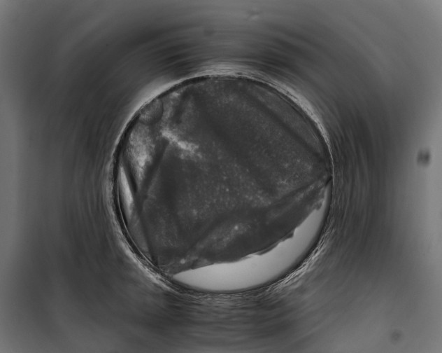 X0000099991045200806201444