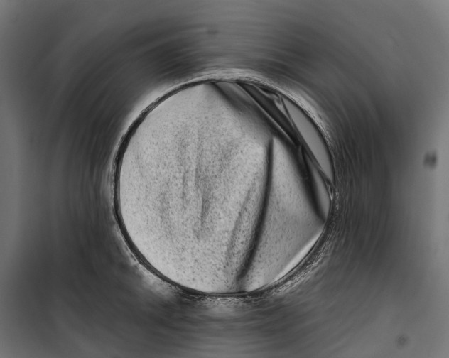 X0000099991046200806201444