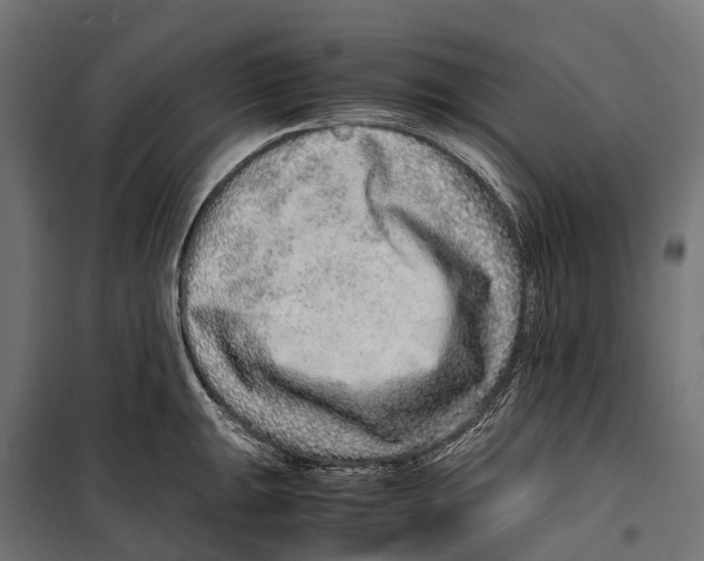 X0000099991047200806201444