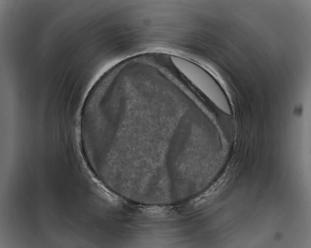 X0000099991048200806201444