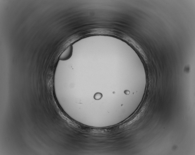 X0000099991049200806201444