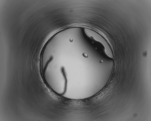 X0000099991050200806201444