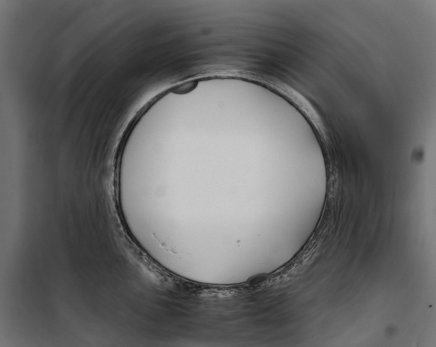 X0000099991051200806201444