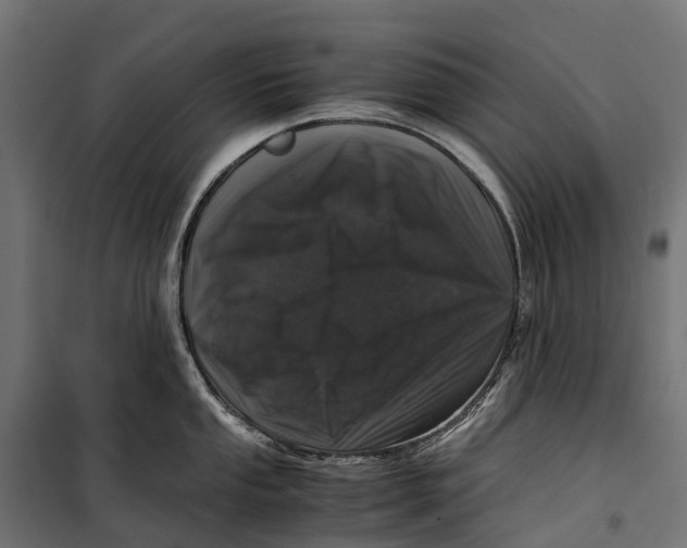 X0000099991053200806201444