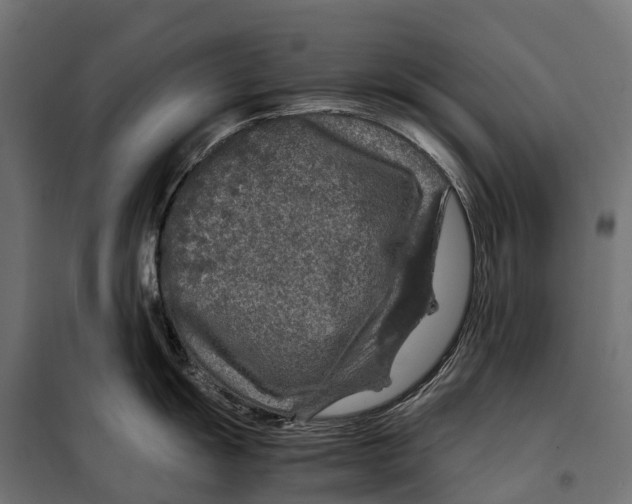 X0000099991055200806201444