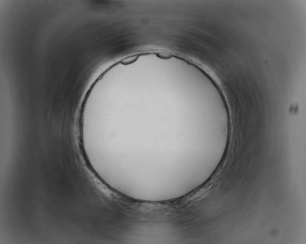 X0000099991056200806201444