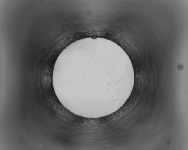 X0000099991058200806201444