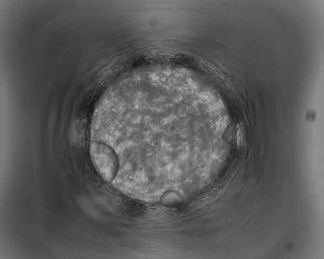 X0000099991059200806201444