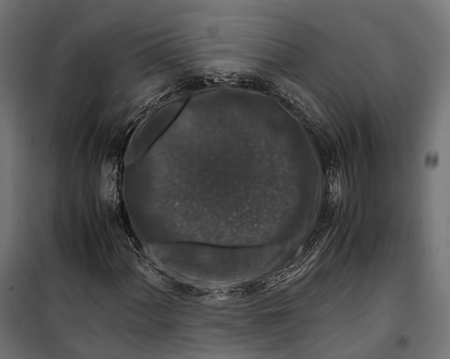 X0000099991060200806201444