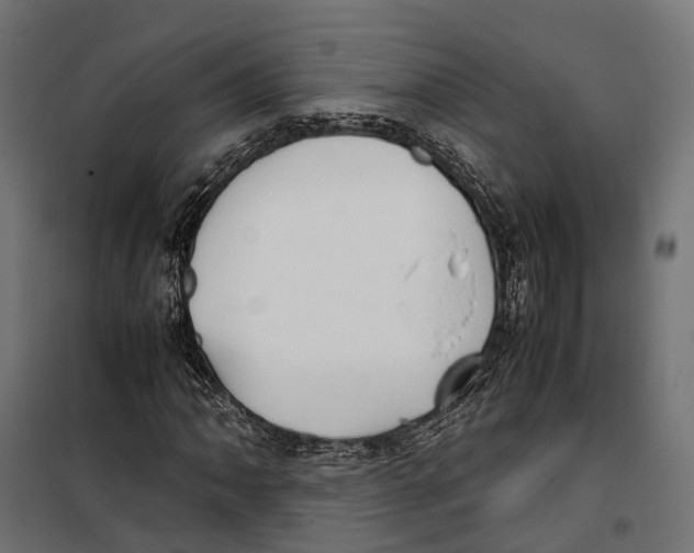 X0000099991062200806201444