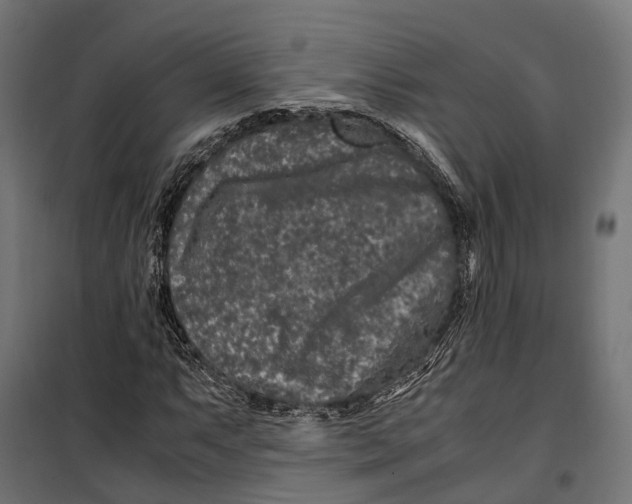 X0000099991063200806201444