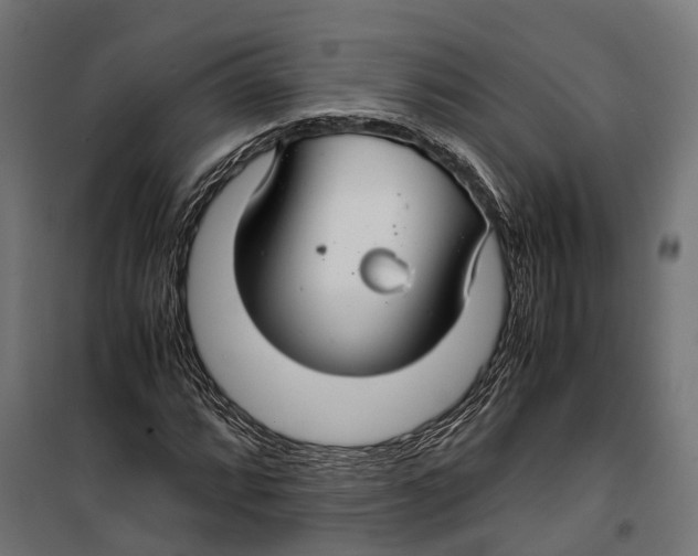 X0000099991064200806201444