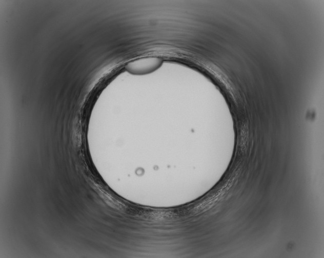 X0000099991067200806201444