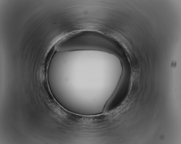 X0000099991069200806201444