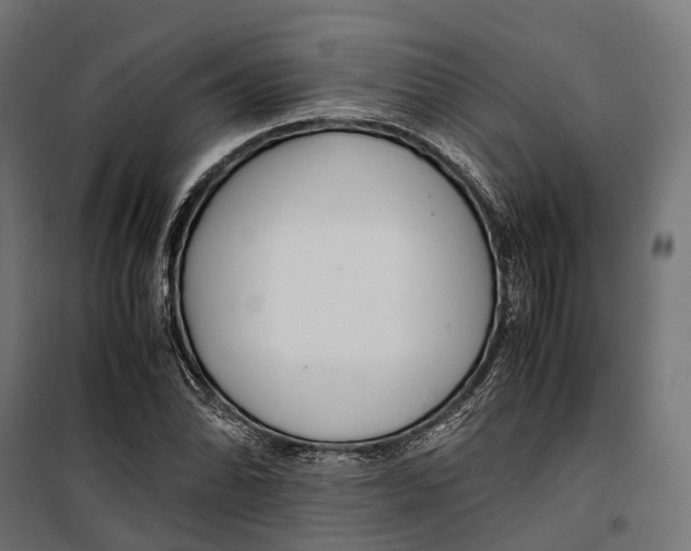 X0000099991070200806201444