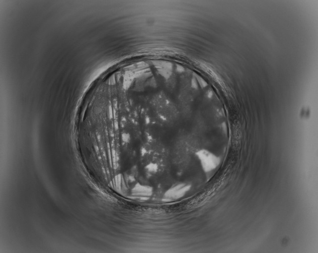 X0000099991071200806201444