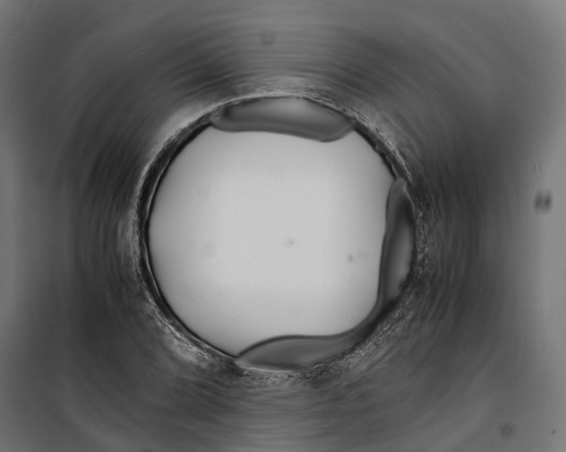 X0000099991072200806201444