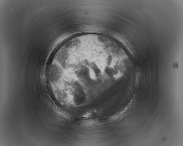 X0000099991074200806201443