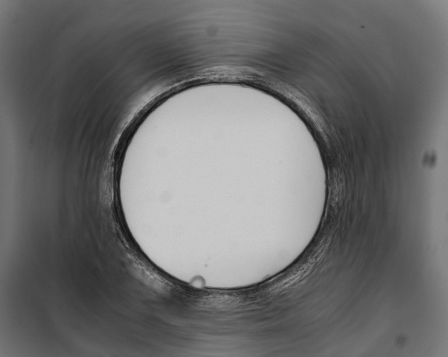 X0000099991075200806201443