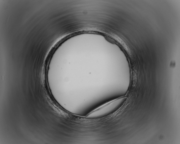 X0000099991076200806201443