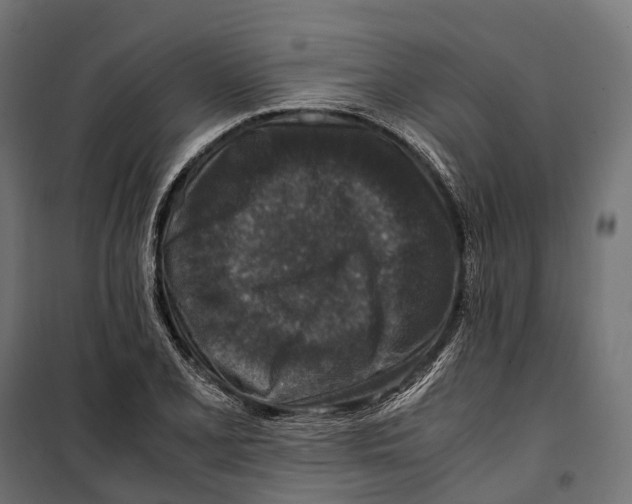 X0000099991077200806201443